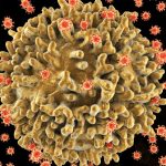 The surface of the T-cell has a lumpy appearance with large irregular surface protrusions. Smaller spherical structures on the cell surface are HIV virus particles budding away from the cell membrane. The virus has infected the T-cell, and instructed the cell to reproduce many more viruses.