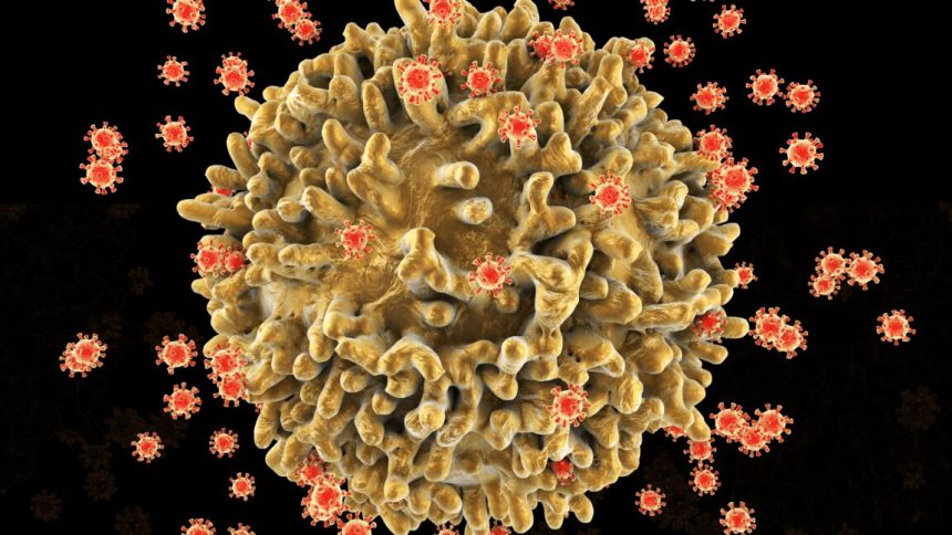 The surface of the T-cell has a lumpy appearance with large irregular surface protrusions. Smaller spherical structures on the cell surface are HIV virus particles budding away from the cell membrane. The virus has infected the T-cell, and instructed the cell to reproduce many more viruses.