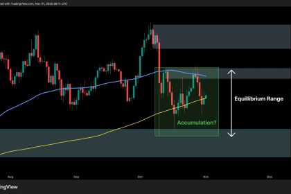 BTC’s Next Move Will Depend on This Key Level