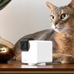 Best Home Pet Cams of 2025: Tested with Our Pets