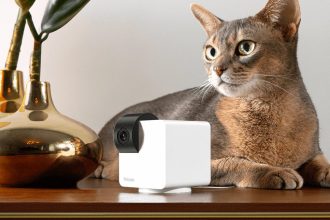 Best Home Pet Cams of 2025: Tested with Our Pets