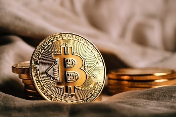 MEXC Partners with The White Whale for Business Revamp