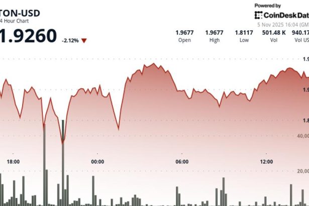 TON Drops to $1.93 as Altcoins Lag Behind BTC in Risk-Off Crypto Market