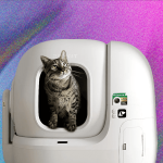The 6 Best Automatic Litter Boxes (2025) Our Cats Would Recommend