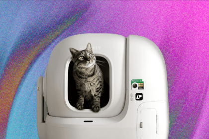 The 6 Best Automatic Litter Boxes (2025) Our Cats Would Recommend