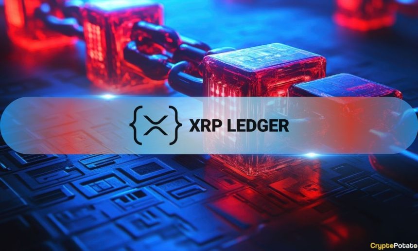 XRP Ledger Sees 8.9% Rise in Daily Transactions, NFT Activity Surges in Q3