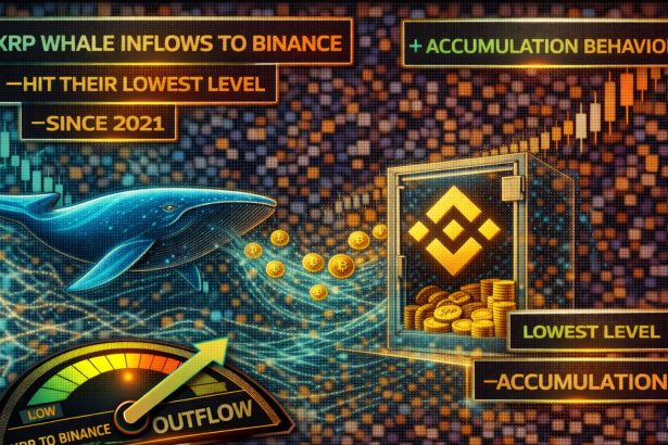 XRP Whale Inflows To Binance Hit Their Lowest Level Since 2021: Accumulation Behavior?