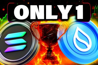 Best Altcoin to Hold For Now - SUI or Solana SOL?