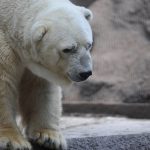 Crypto Set For Big Shakeups, Consolidation Expected: CEO