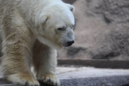 Crypto Set For Big Shakeups, Consolidation Expected: CEO