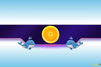 Is Cardano on the Verge of a Further Dump?