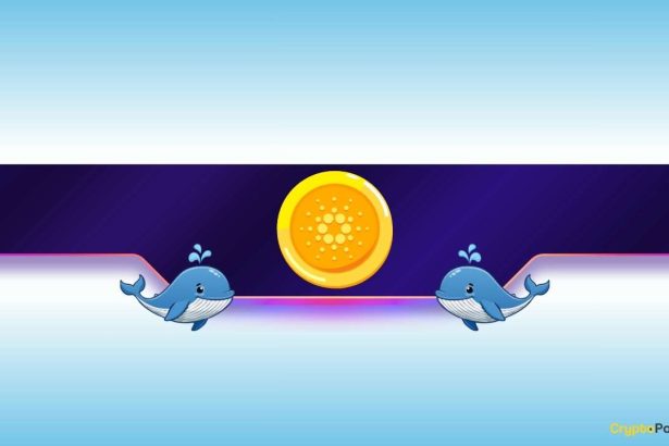 Is Cardano on the Verge of a Further Dump?