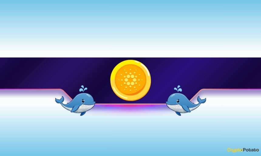 Is Cardano on the Verge of a Further Dump?