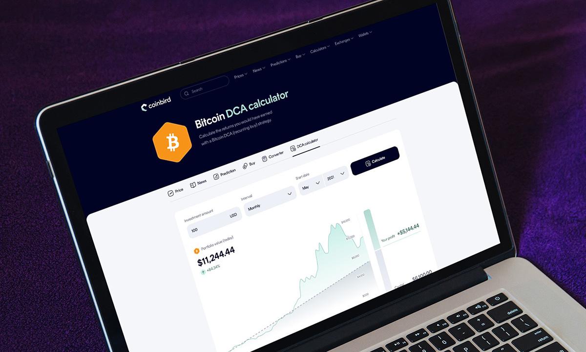 $100/Month In Bitcoin Since 2015 Would Have Turned $13,700 Into $632,000, Coinbird Analysis Shows