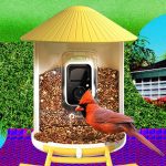 The Smart Bird Feeders Everyone’s Talking About (and Actually Buying) (2026)