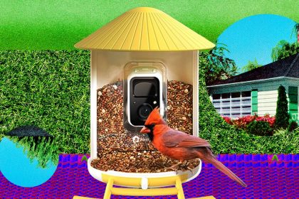 The Smart Bird Feeders Everyone’s Talking About (and Actually Buying) (2026)