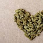These States Legalized Weed. More Heart Attacks Followed